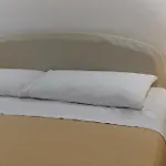 Cerra *